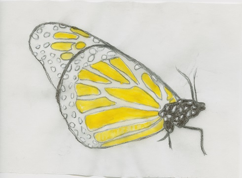 T. Serrano. Untitled. 1996-7. Albanene paper. Mixed technique. 12 x 16,5 cm.