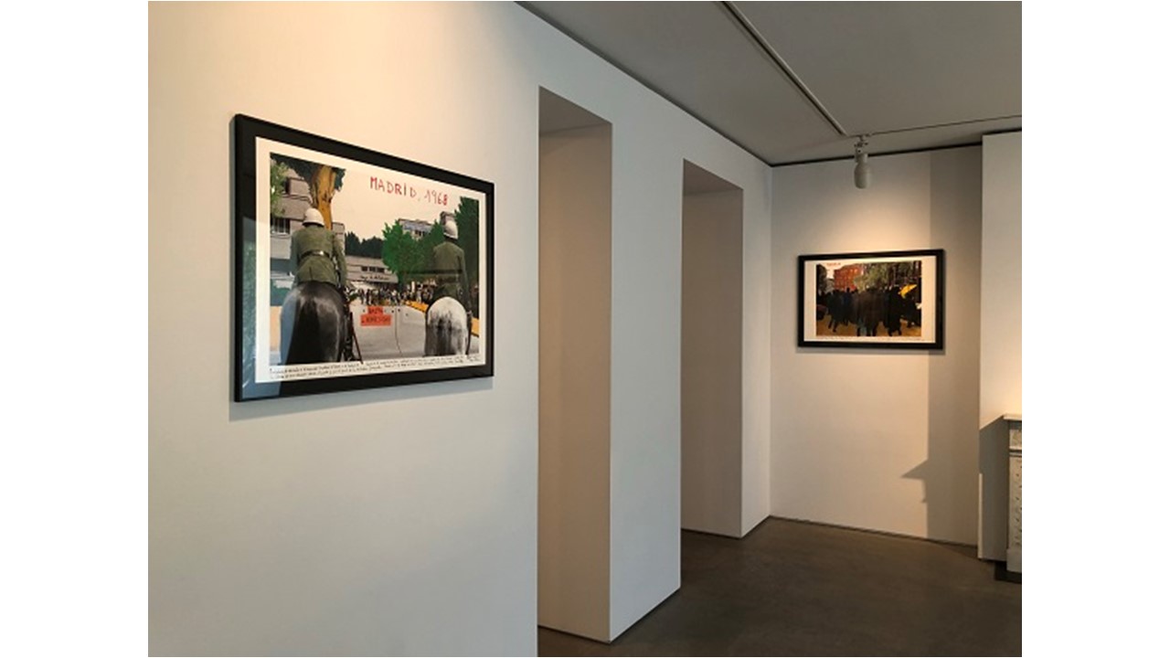 Installation view.