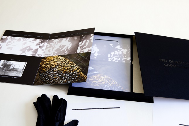 "Goosebumps", 2018. Artist book: black box.