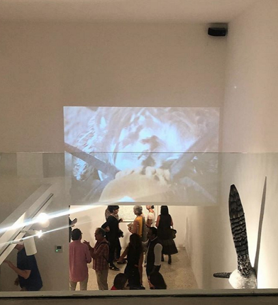 Installation view