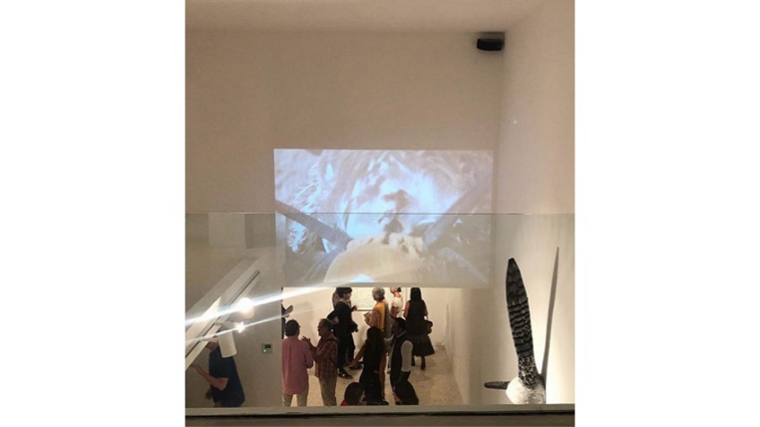 Vista de la exposición  "La ley del espejo", primera parte del proyecto Zoos Bombardeados,  en Galería Freijo en 2018.