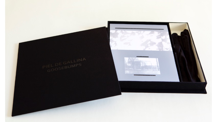 "Piel de Gallina", 2018. Libro de artista: caja negra. 27 x 20 cm. Edición de 2 + 1 AP.