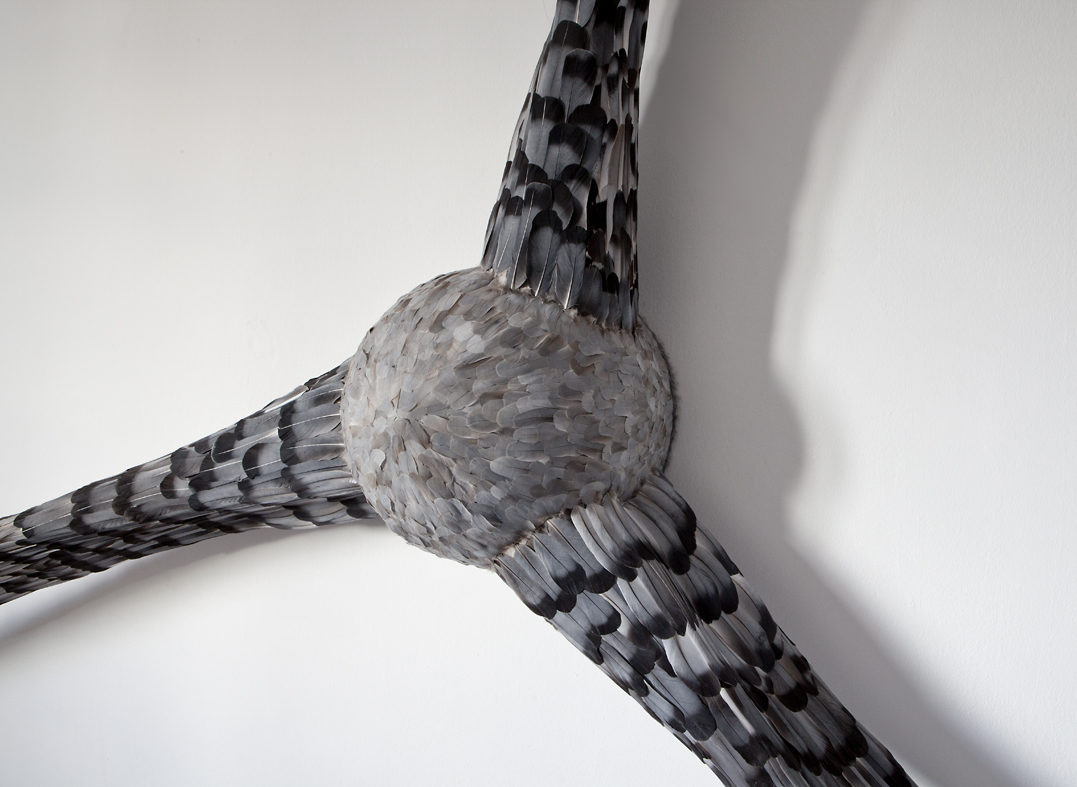 Detail of "The Mirror Rule".