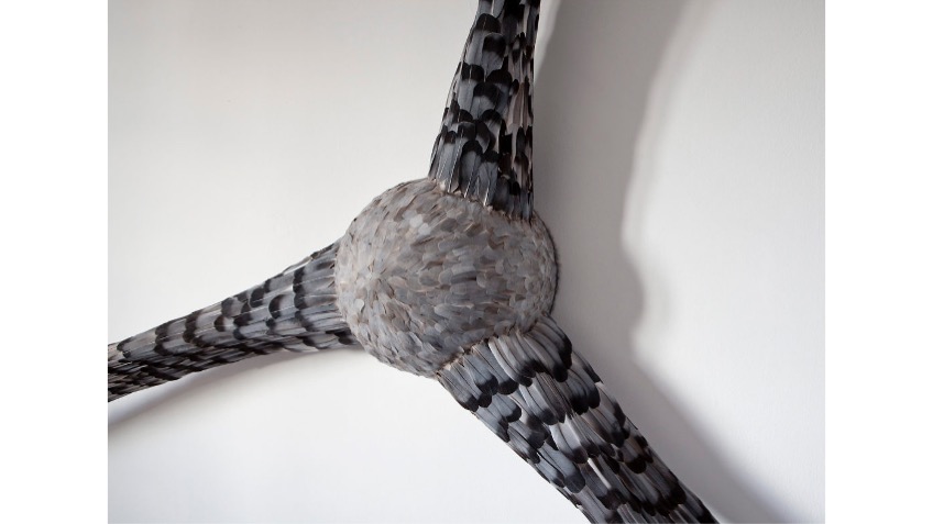 Close-up from "La ley del espejo". 2018. Fibreboard, iron and found feathers. 220 x 220 x 40 cm.