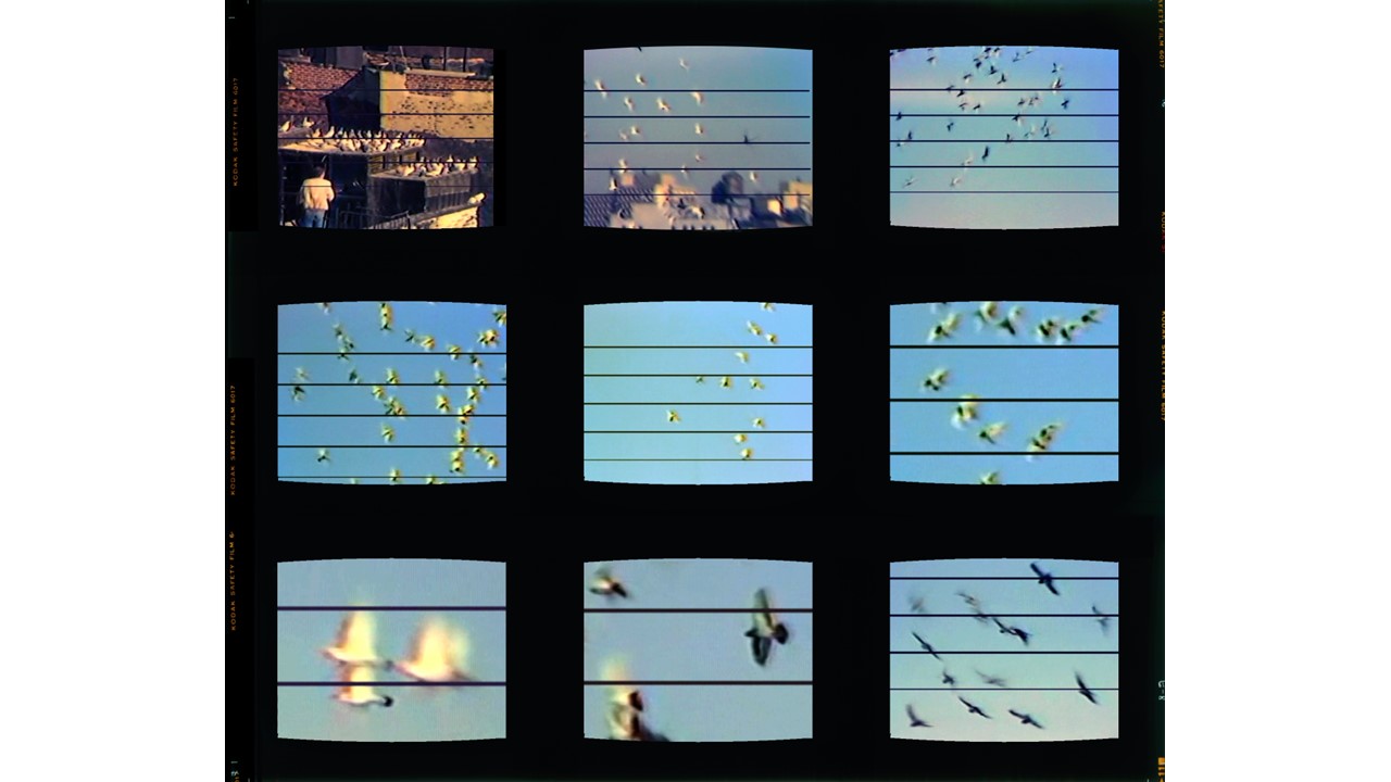 Eugenia Balcells. "Flight", Serie: Sound Works. 1981 - 2018. Vídeo partitura 3⁄4