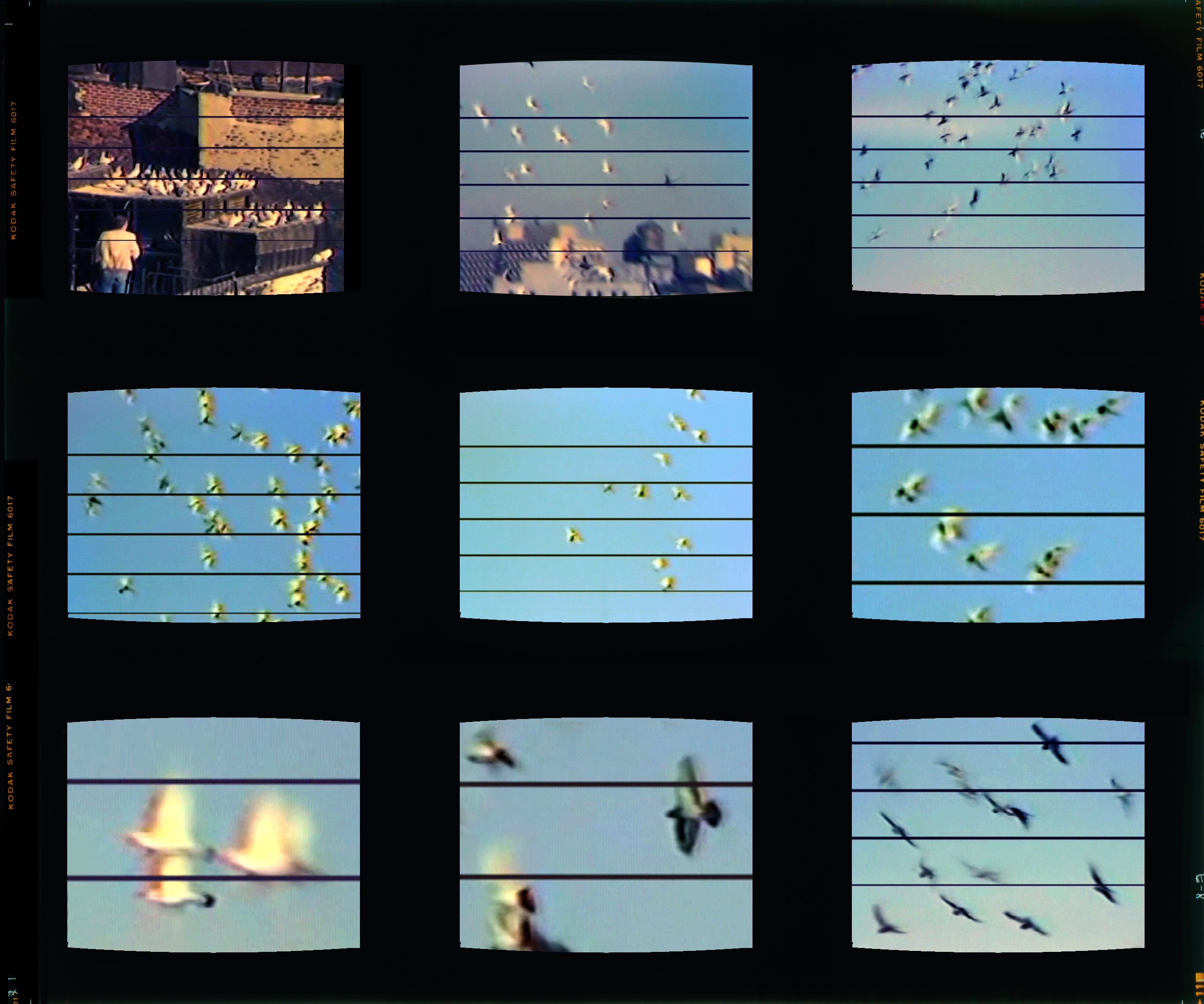 Balcells Eugenia. Flight, Series: Sound Works. 1981 - 2018. Video music sheet 3⁄4