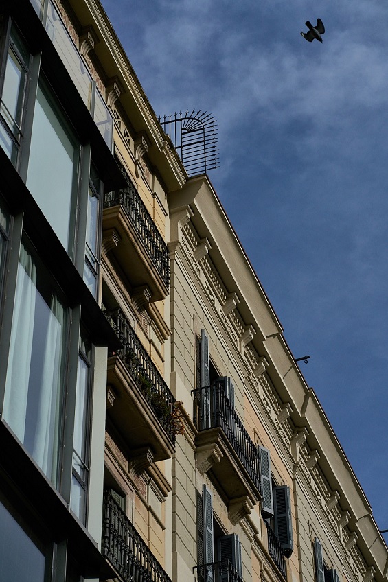 Séptimo cielo, 2019.