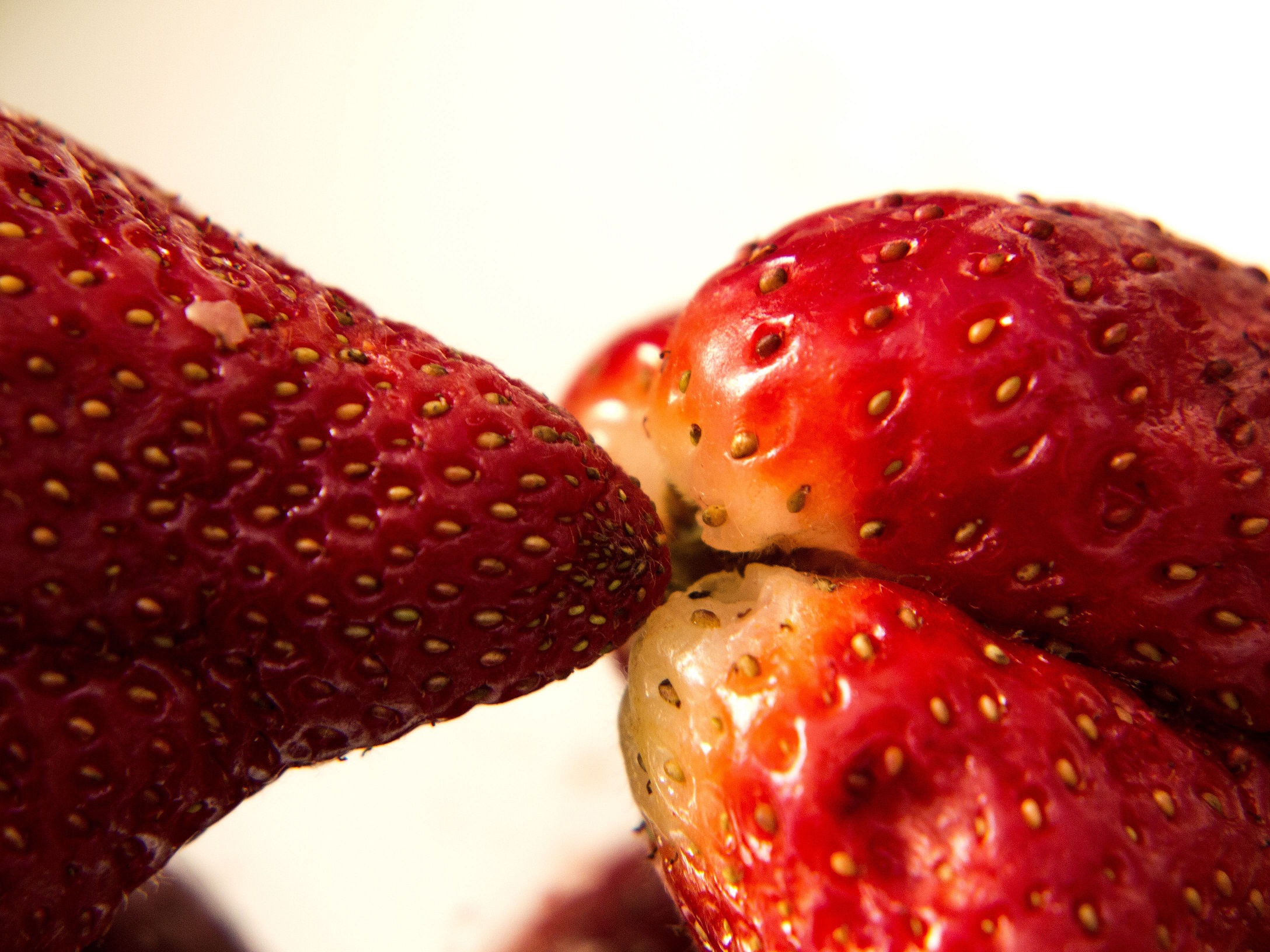 Strawberries. Transgenic Series, 2018-2019. Fujicolor Crystal Archive Paper professional, 249 mgr. Edition of 3 + 2 PA. 75 x 100 cm