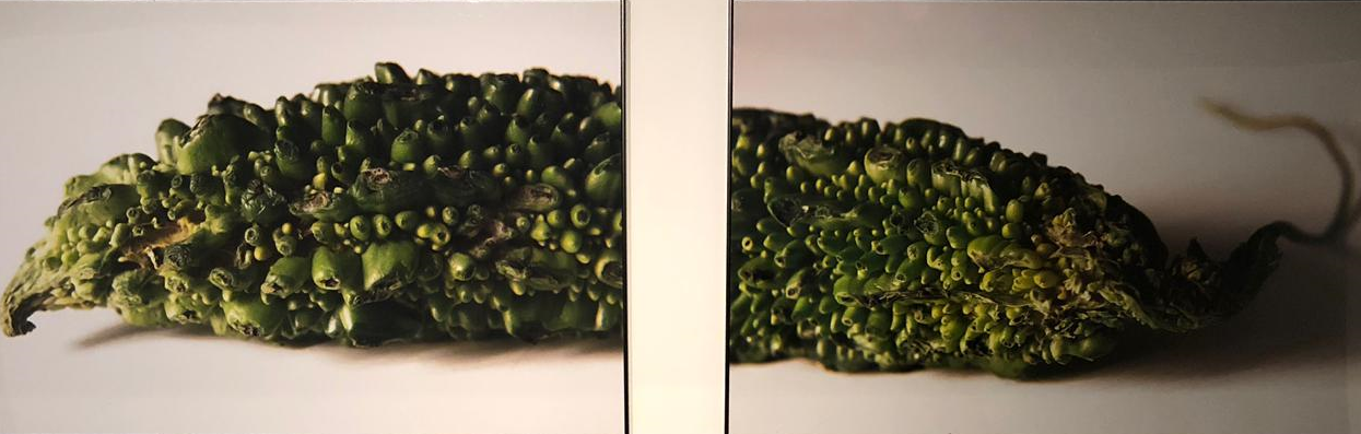 Karela, 2015. Diptych. Fujicolor Crystal  Professional paper, 249 mg. Edition of 3 + 2 A.P  75 x 113 cm
