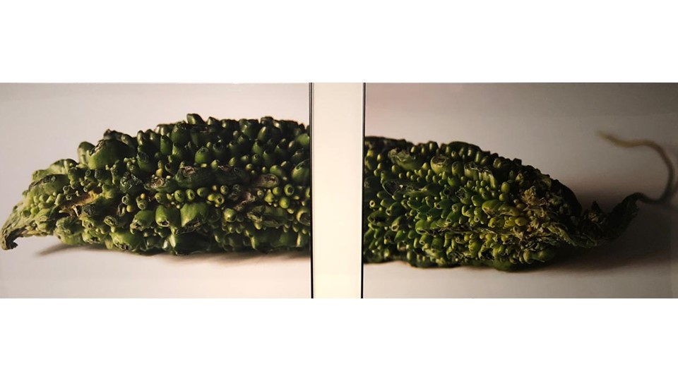 "Karela". Transgenic Series. Carried out in  2015. Diptych Fujicolor Crystal Archive professional paper, 249 mg. Edition made in 2019.  3 + 2 PA. 75 x 113 cm