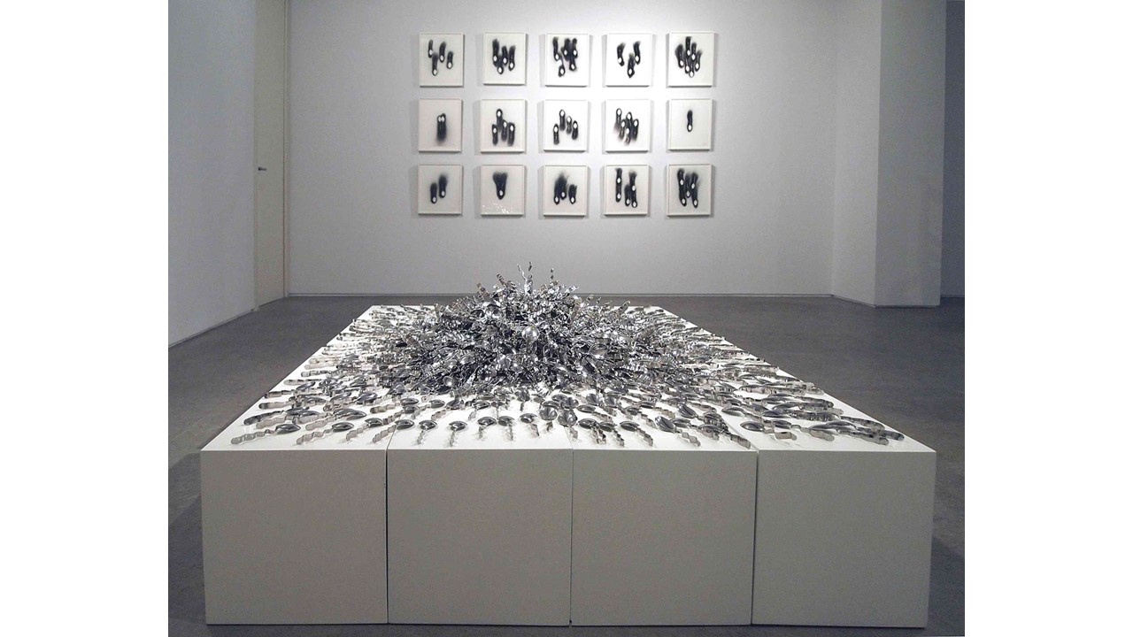 Installation view.