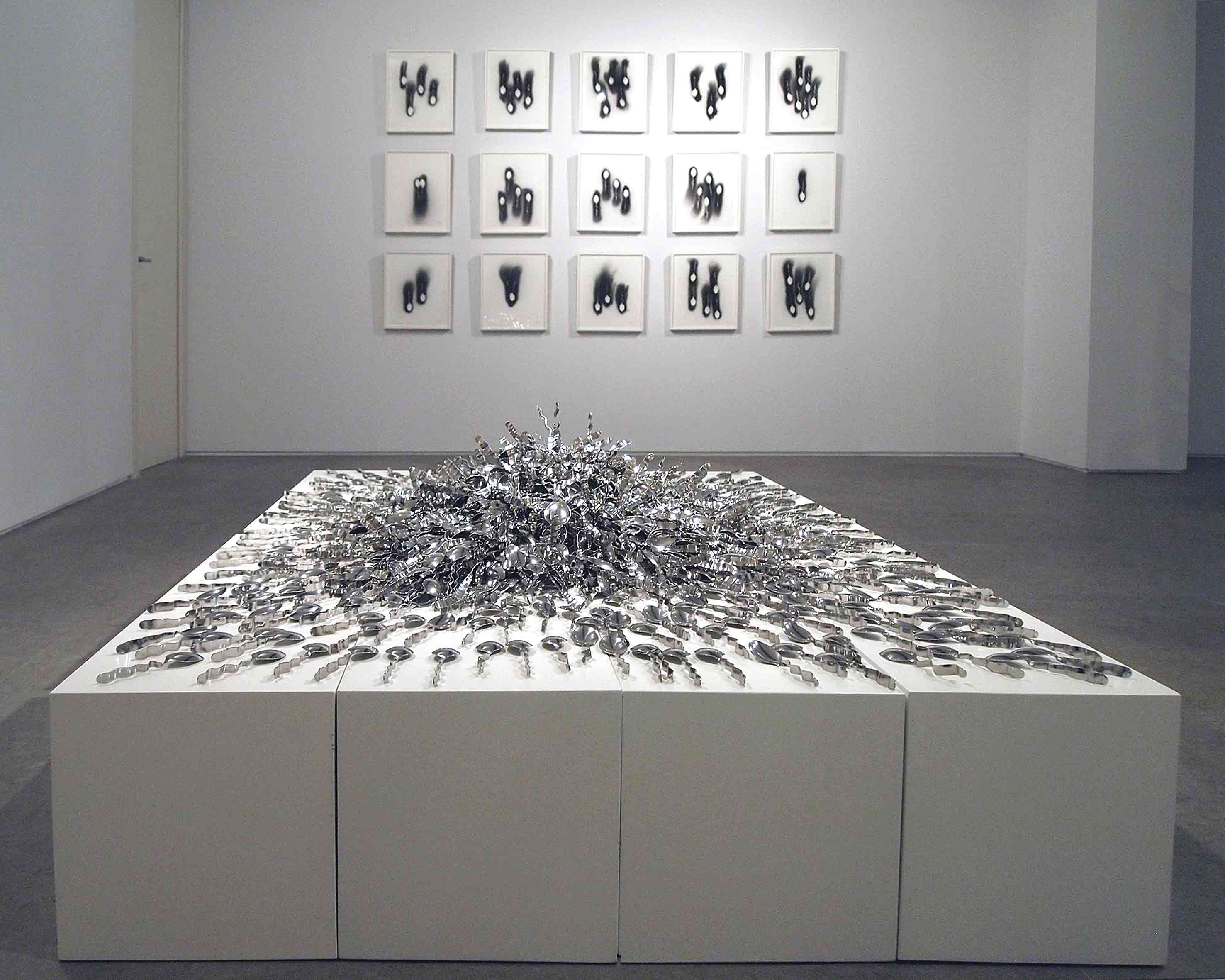 Installation view.