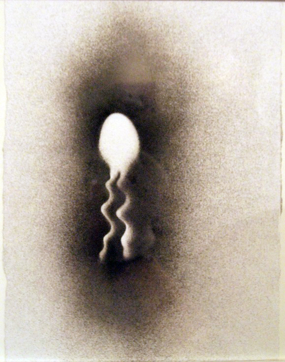 Series of drawings entitled "Origin".