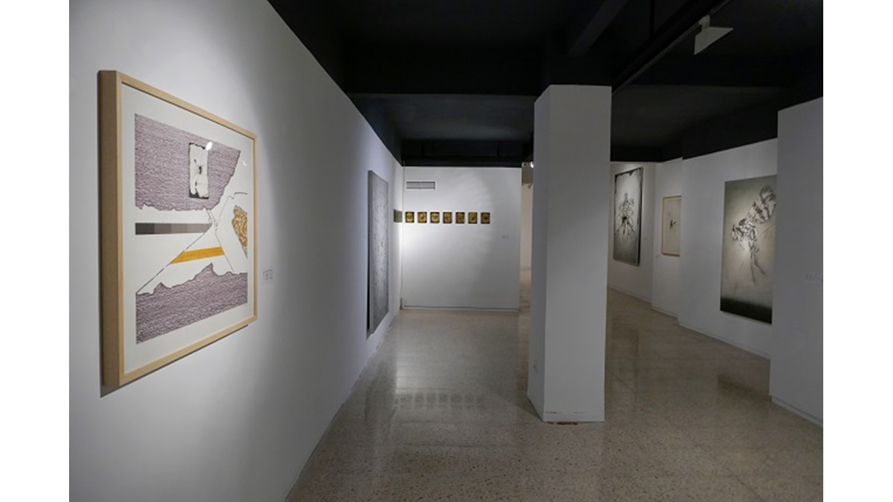 Installation view.