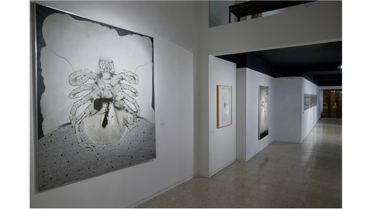 Installation view.