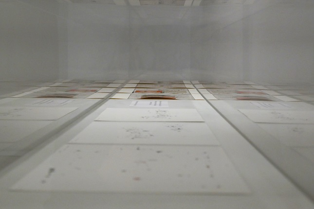 View of the showcase.