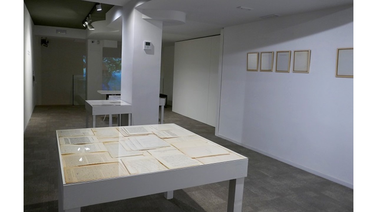 Installation view