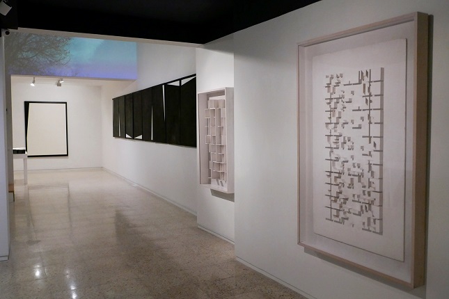 Installation view.