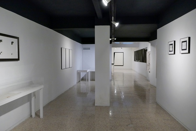 Installation view.