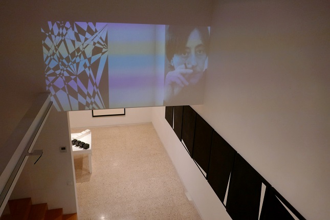Installation view.