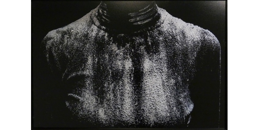 "Vida suspendida (Sobre la ceniza)", 2020. Fotografía. Tintas pigmentadas sobre papel Hahnemühle Photo Rag Baryta. Ed. 1/3. 90 x 135 cm