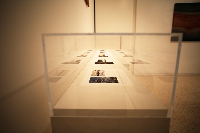 Showcase view