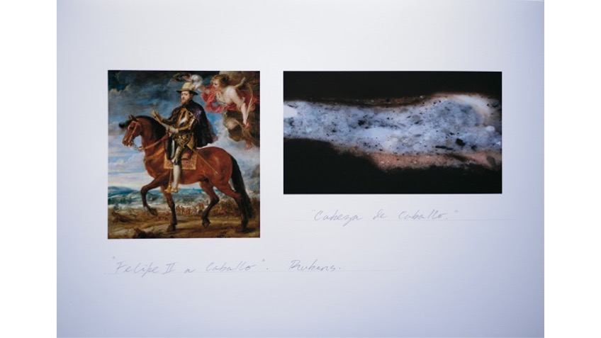 Work-document of "Study of Pictorial Anatomy: "Philip II on Horseback". Horse's Head", 2018.