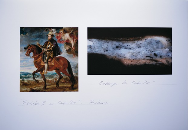 Work-document of "Study of Pictorial Anatomy: "Philip II on Horseback". Horse's Head", 2018.