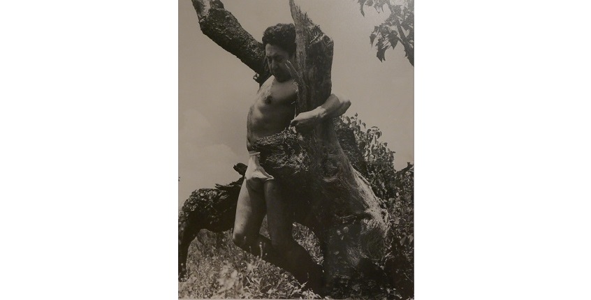 Leo Matiz. "Foto Controversia Siqueiros-Matiz Plagio". México, ca. 1946. Gelatina de plata. 30 x 24 cm