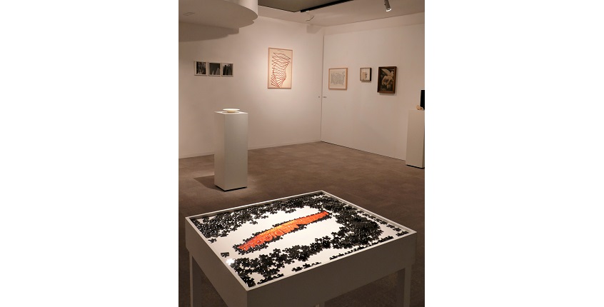 View of the exhibition "The personal is political, art made by Latin American women".