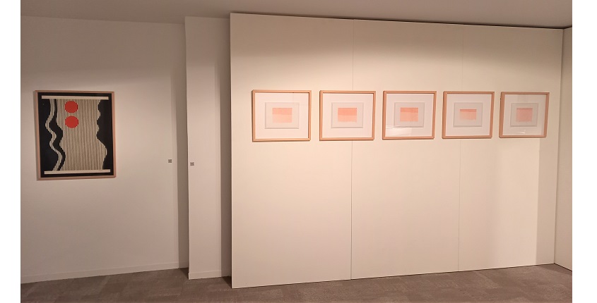 View of the exhibition "The personal is political, art made by Latin American women".