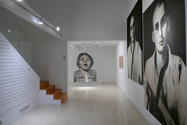 Installation view.