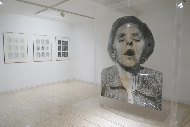 Installation view.