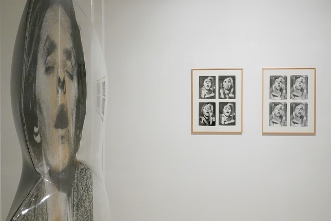 Installation view.