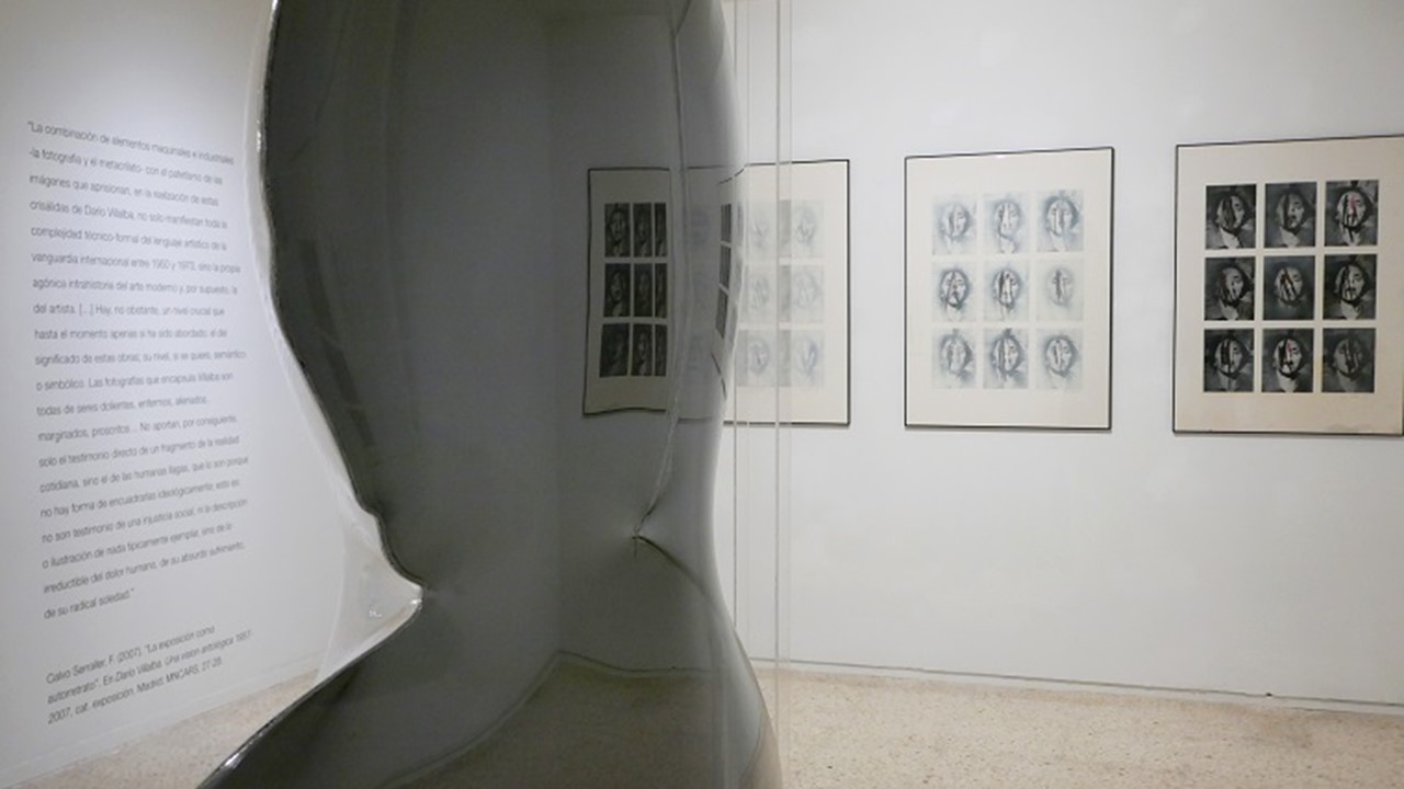 Installation view.