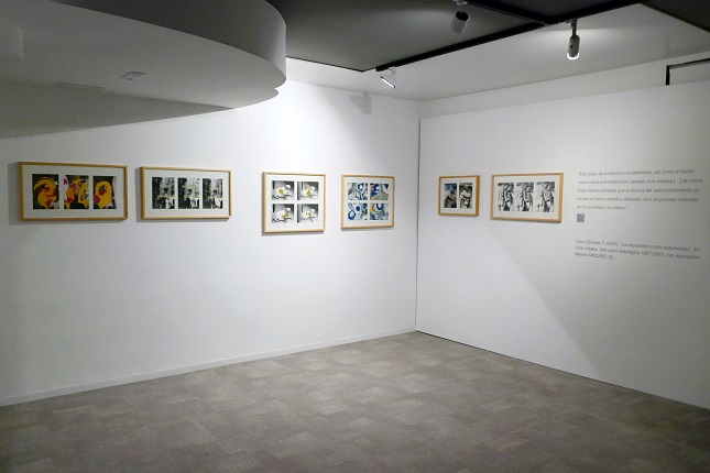 Installation view.