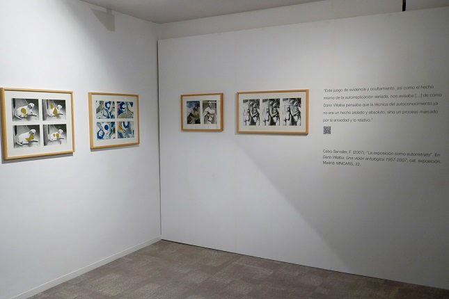Installation view.