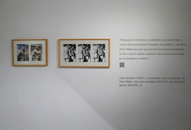 Installation view.