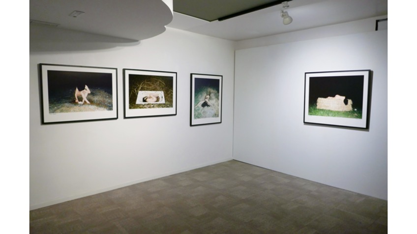 Installation view of Ximena Bares' works