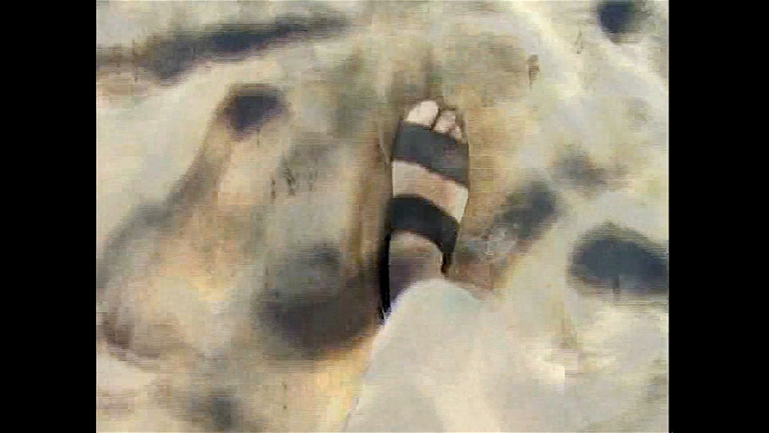 "Walking among self-censored writings", 2003
Video.