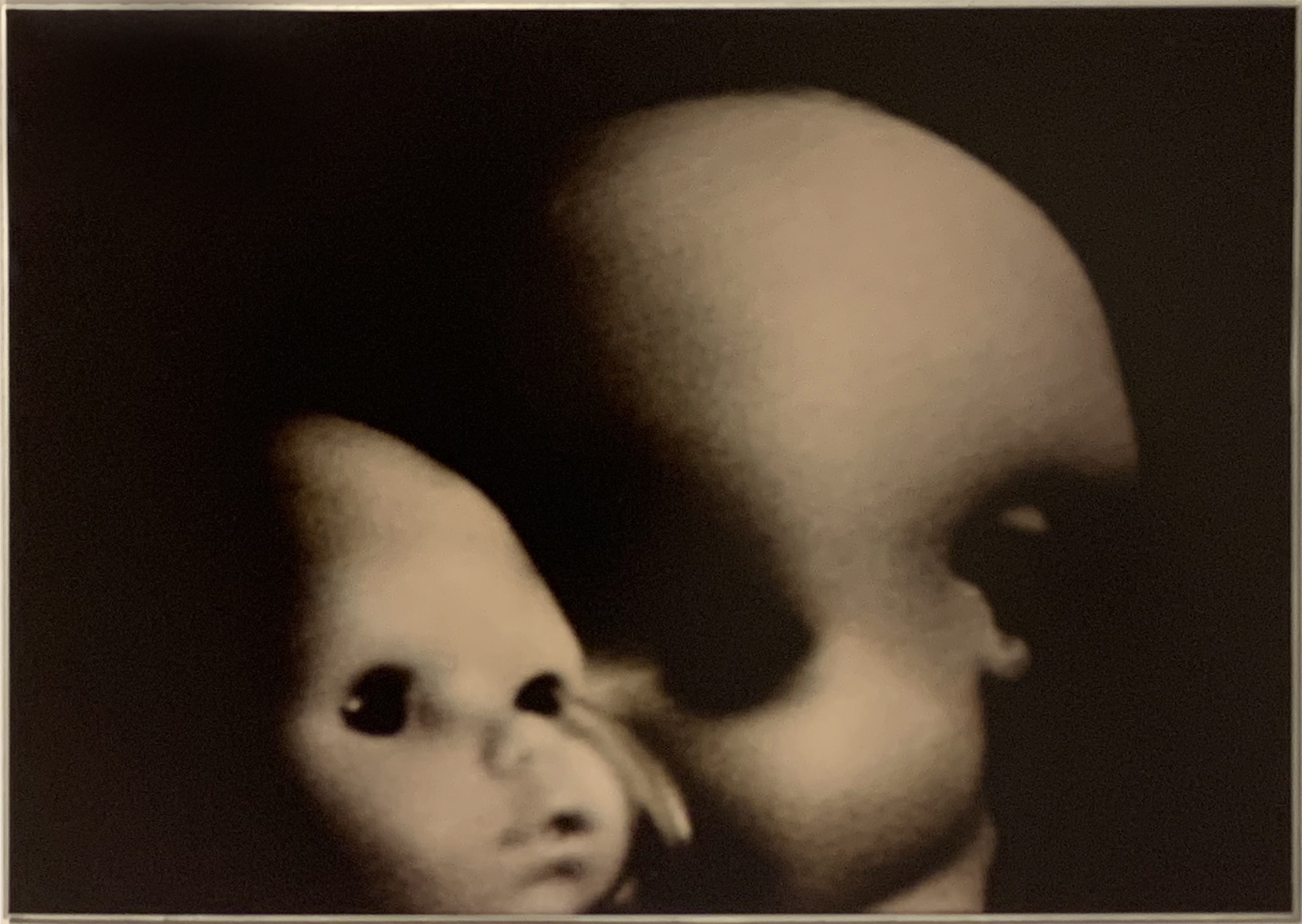 Marisa González. "Child_bites en el estudio. Clónicos". 1993-97. 60 x 84 cm.