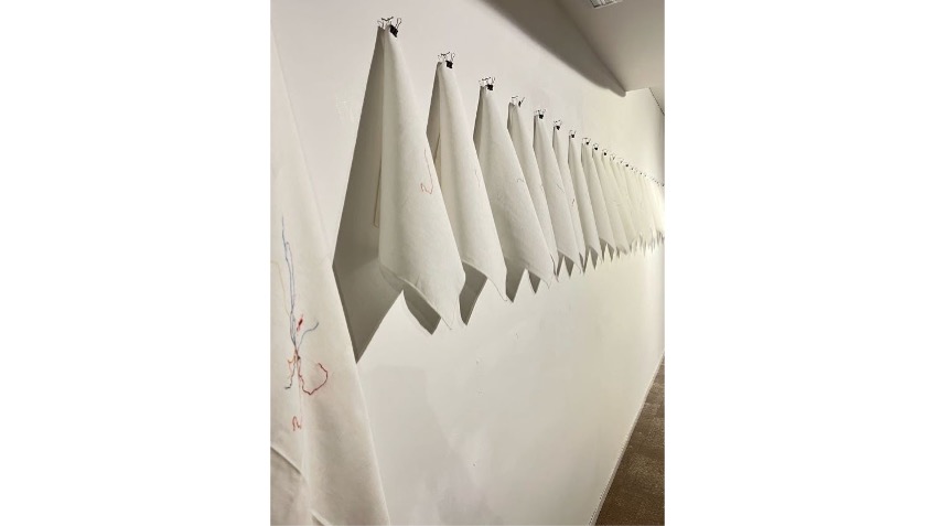 Gina Arizpe. "Migratory traces". 2015-2019. Variable measures.