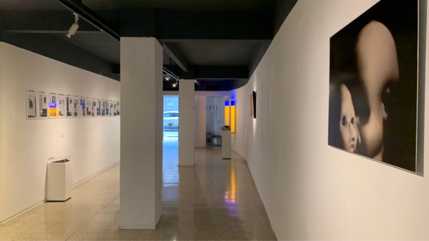 Installation view.