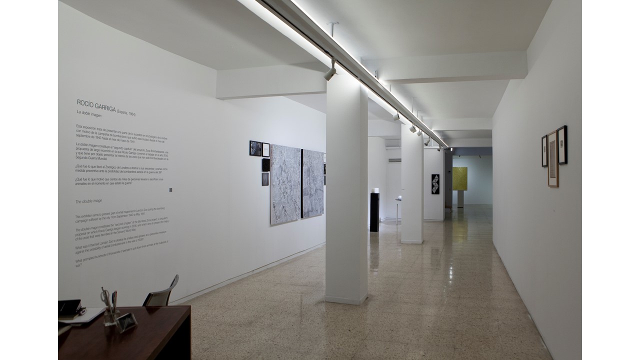 Installation view.