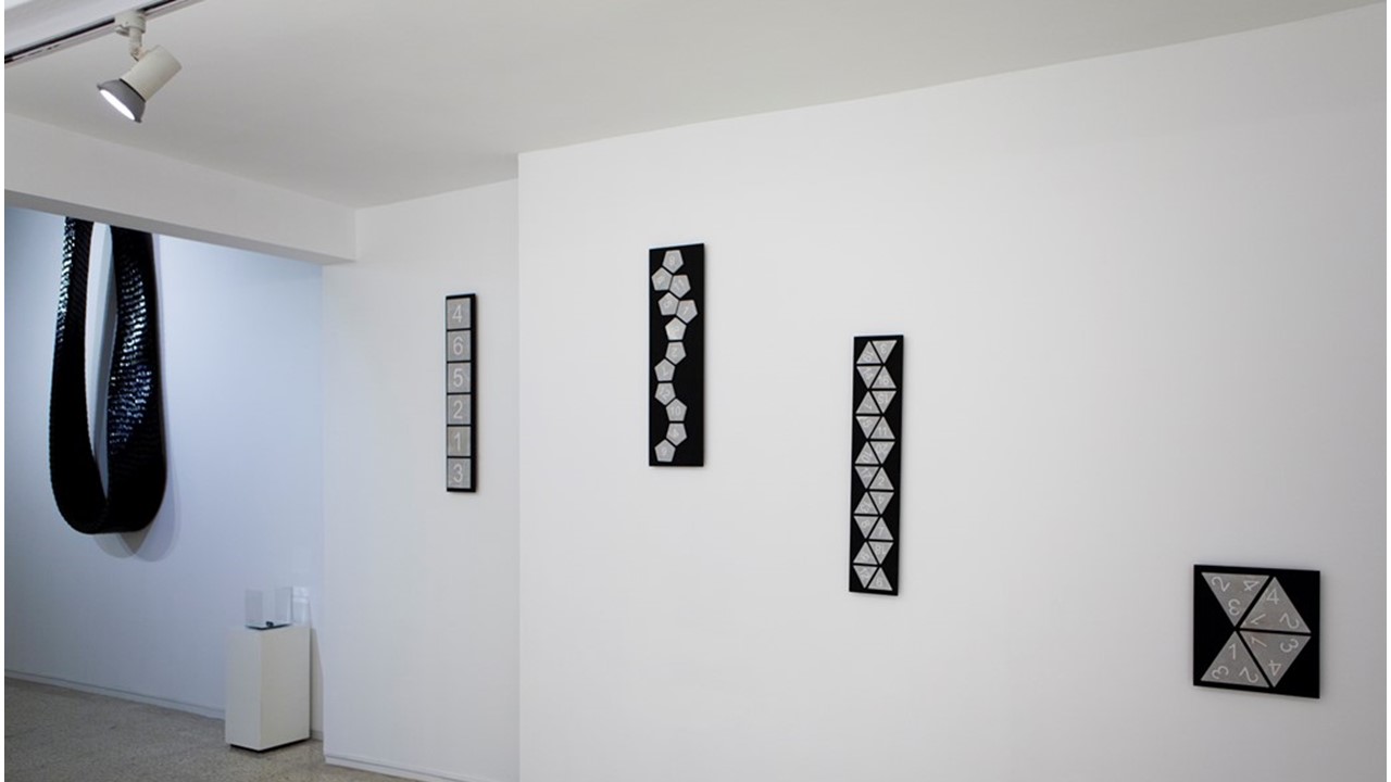 Installation view.