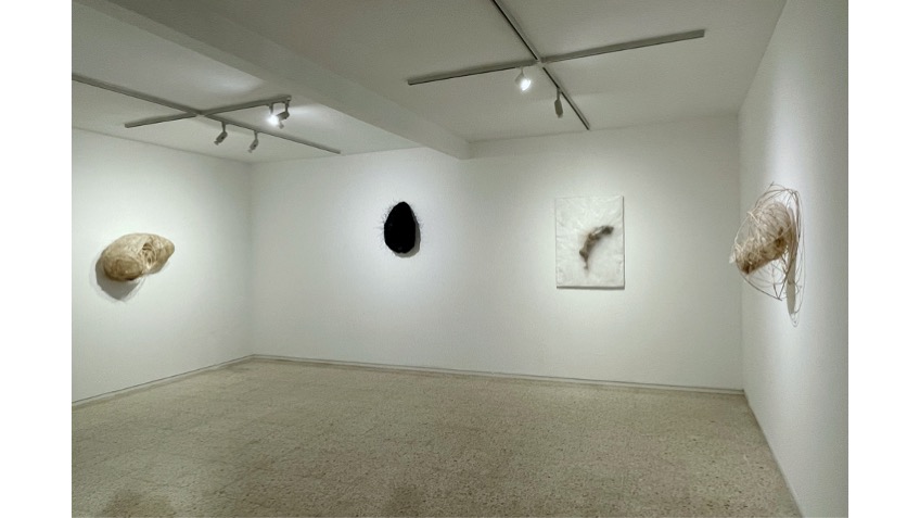 Vista de exposición.