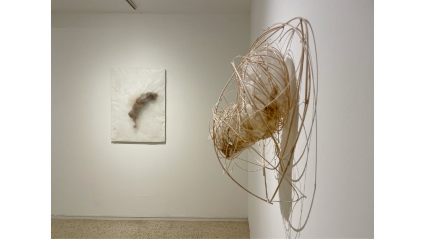 Installation view