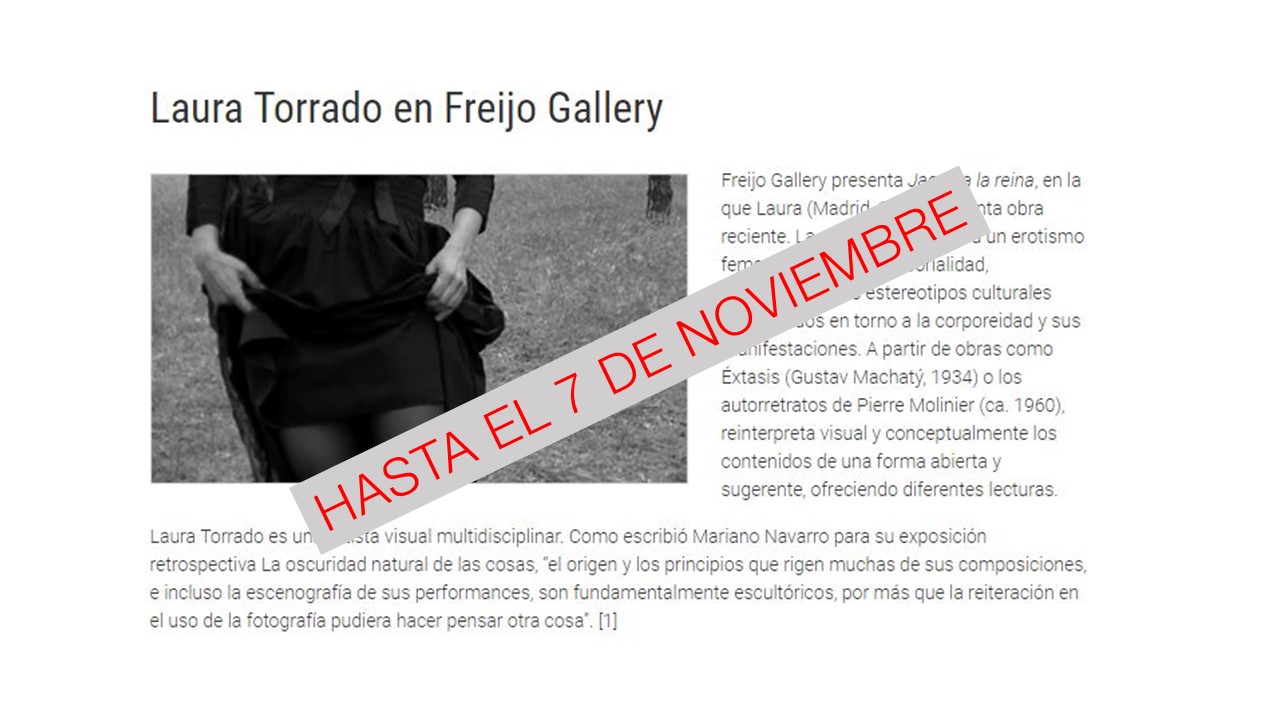 Laura Torrado en ARTECONTEXTO