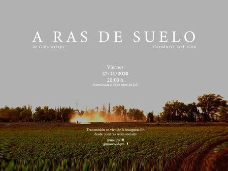 Gina Arizpe | Solo exhibition at the Querétaro City Museum