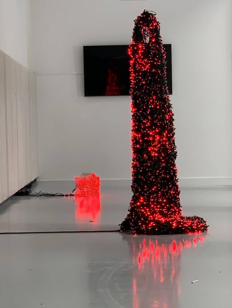 Vista de la instalación en Espacio Séneca. Obra de Maribel Domènech.